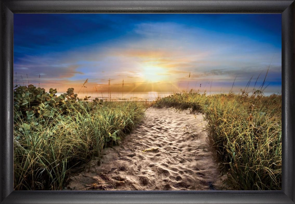 Dune Trail in Sunrise (Beechdale)