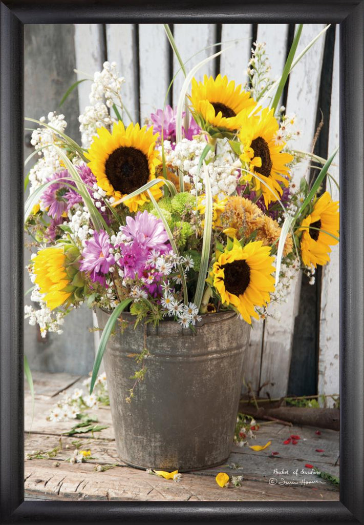 Bucket of Sunshine (Beechdale)