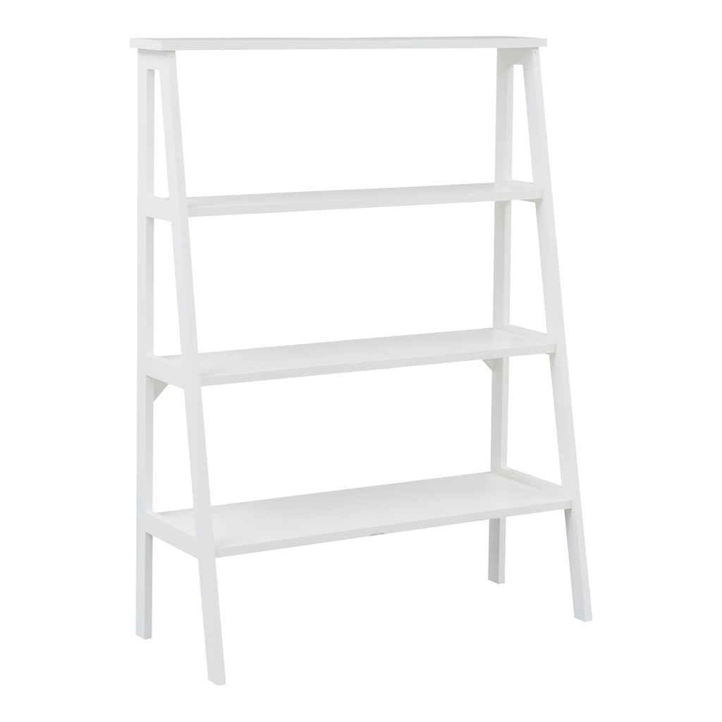 Step Ladder Shelf-Double (IE#109)